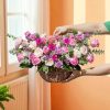 Giỏ Hoa Hồng Chúc Mừng HG207